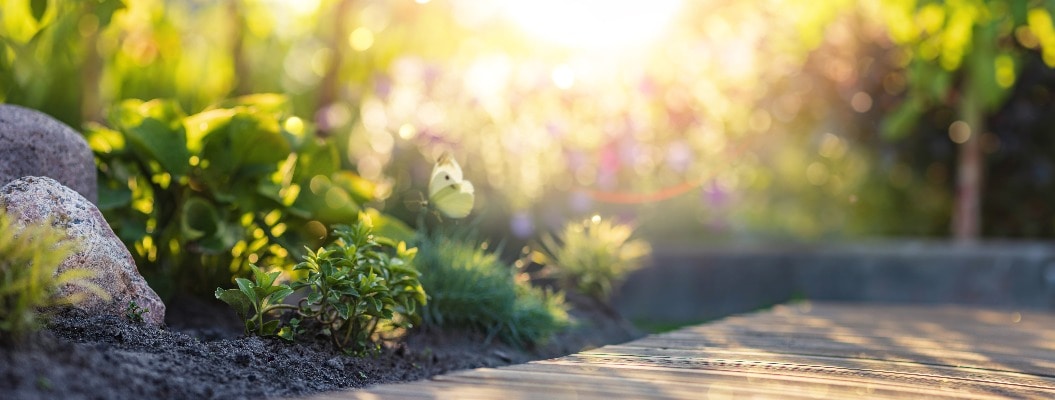 Schöner Frühlingsgarten in der Sonne in einem unscharfen Hintergrund